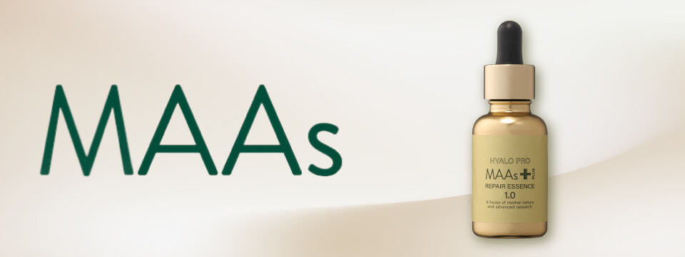 MAAs（マース））